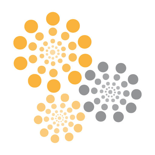 Golden Plan Choice Agency
